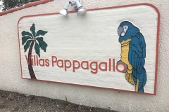 pappagallo-after
